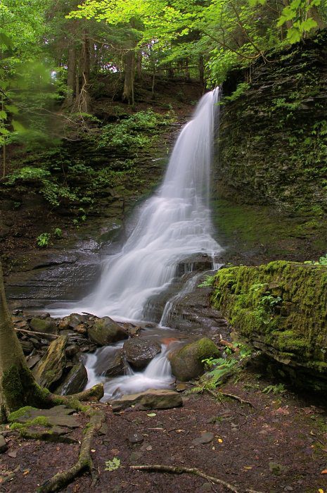 bucktail falls